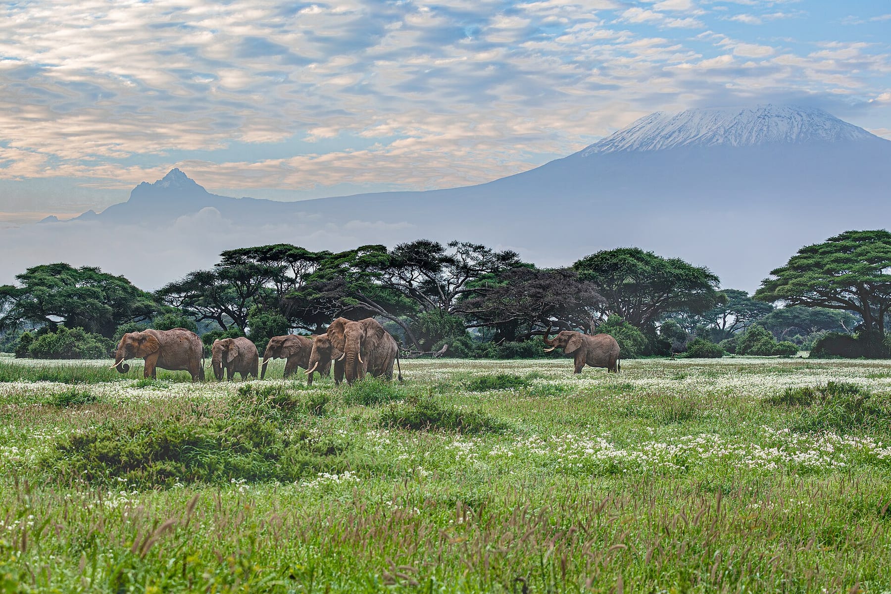 Everyday travel and once-in-a-lifetime trips